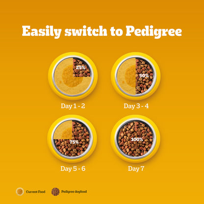 Pedigree Adult Dry Dog Food, Chicken & Vegetables, 1 kg, Contains 37 Essential Nutrients, 100% Complete & Balanced Food for Adult Dogs