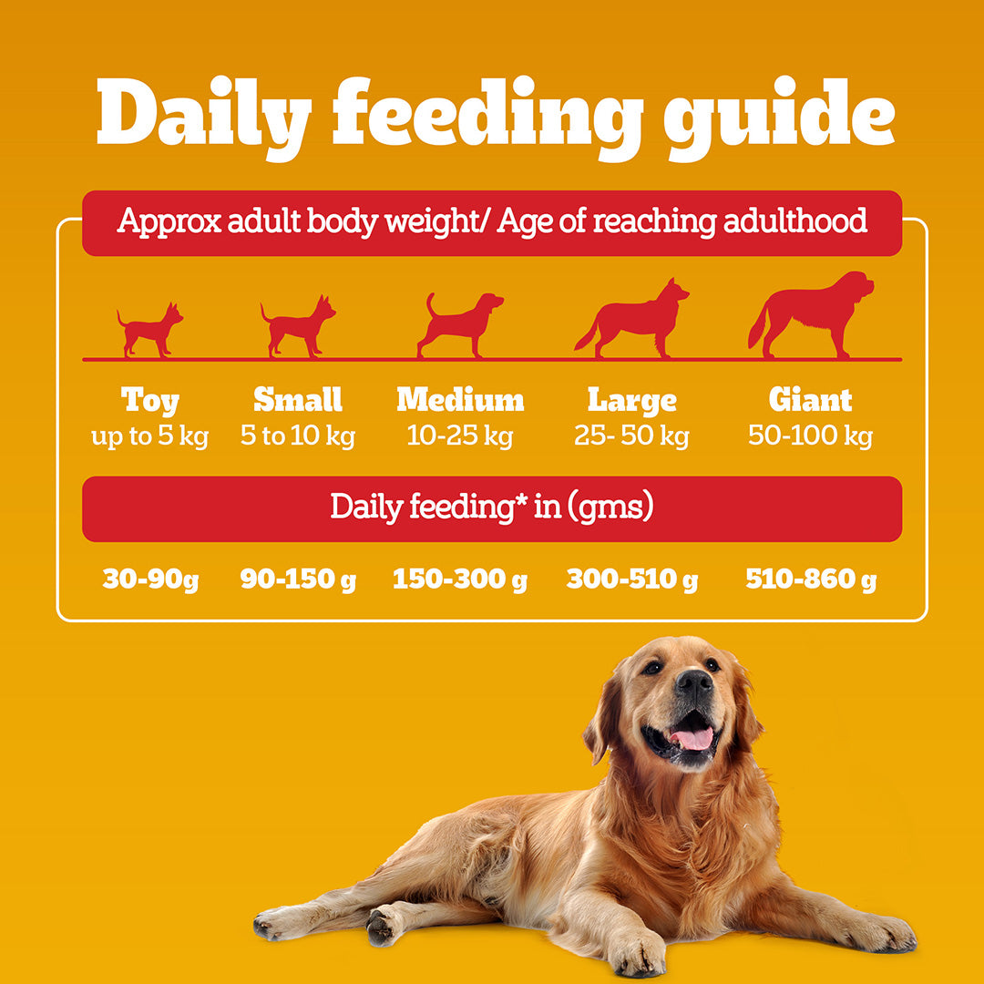 Pedigree Adult Dry Dog Food, Chicken & Vegetables, 1 kg, Contains 37 Essential Nutrients, 100% Complete & Balanced Food for Adult Dogs