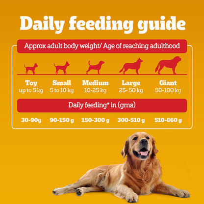 Pedigree Adult Dry Dog Food, Chicken & Vegetables, 1 kg, Contains 37 Essential Nutrients, 100% Complete & Balanced Food for Adult Dogs