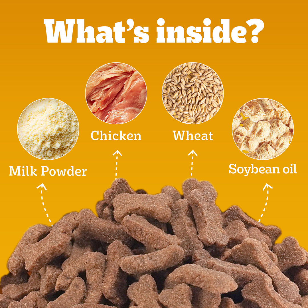 Pedigree Biscrok Biscuits Dog Treat (Above 4 Months), Milk and Chicken Flavor, 500g Pack
