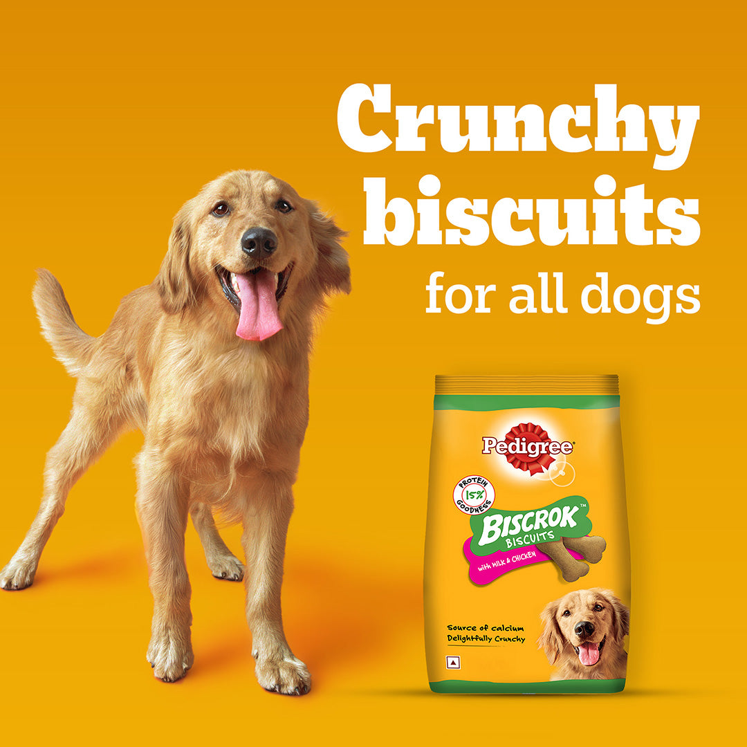 Pedigree Biscrok Biscuits Dog Treat (Above 4 Months), Milk and Chicken Flavor, 500g Pack