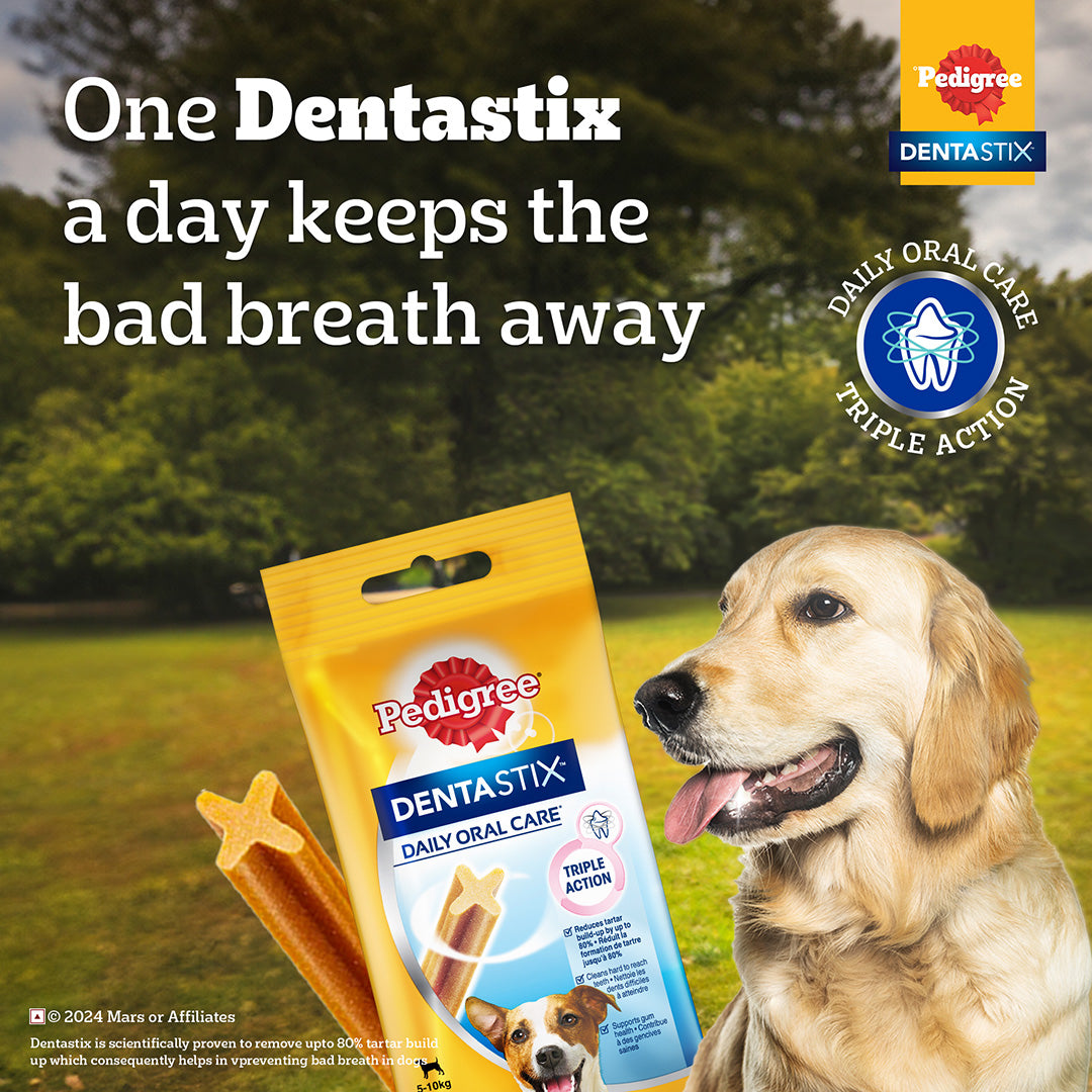 Pedigree Dentastix Dog Treat Oral Care for Adult Small Breed (5-10 kg), (7 Sticks) 110g Weekly Pack
