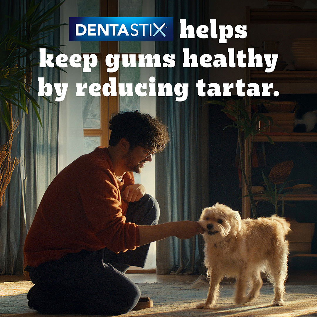 Pedigree Dentastix Dog Treat Oral Care for Adult Small Breed (5-10 kg), (7 Sticks) 110g Weekly Pack