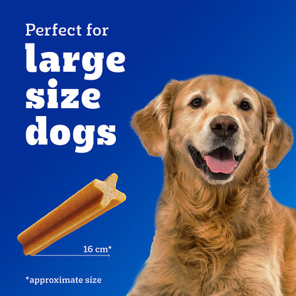 Pedigree Dentastix Oral Care Dog Treat, Adult Medium Breed (10-25 kg), 180 g, Recommended by Vets, Supports Gum Health, Reduces Risk of Gum diseases