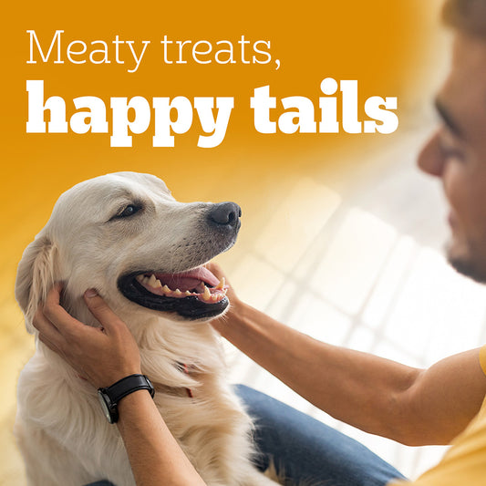Pedigree Tasty Jerky Dog Treat, Chicken Flavour, 70g Jerky-style Treats for Bonding, Low-fat and High-protein* Dog Treat