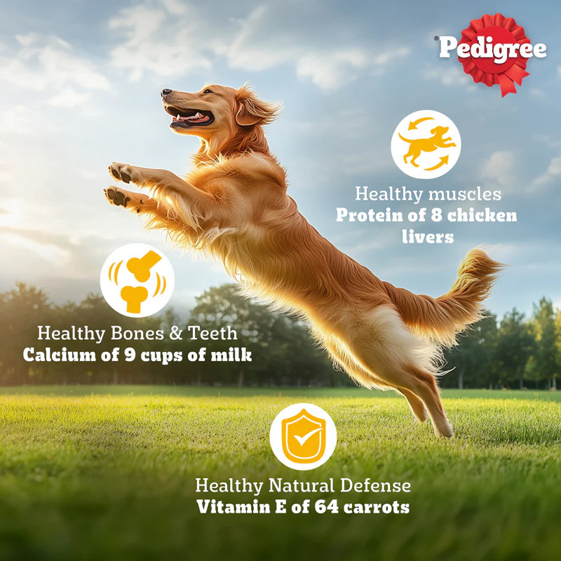Pedigree Adult Dry Dog Food Food, Meat & Rice, 2.8kg Pack