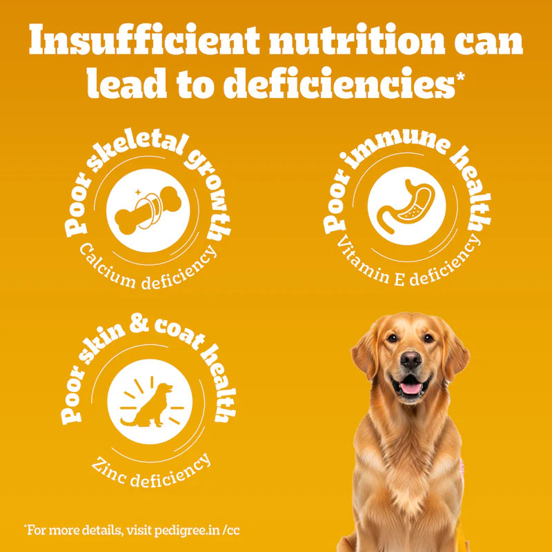 Pedigree Adult Dry Dog Food Food, Meat & Rice, 2.8kg Pack