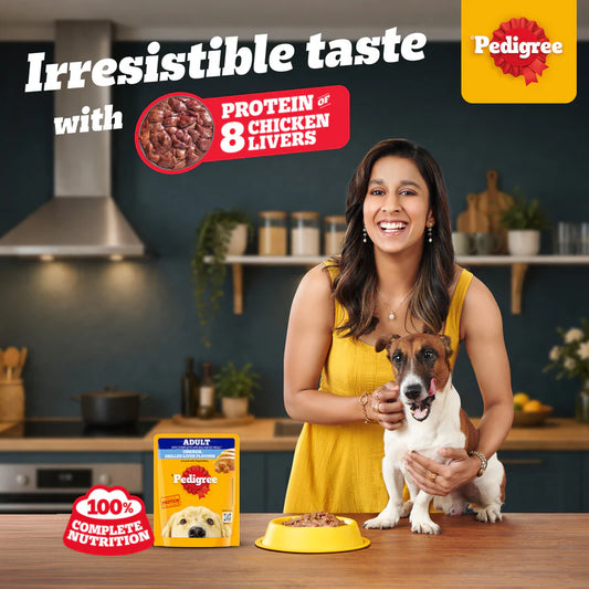 Pedigree Adult Wet Dog Food, Chicken Grilled Liver Flavour in Loaf with Vegetables, 70 g, Supports Healthy Immune System, Complete & Balanced Nutrition for Adult Dogs