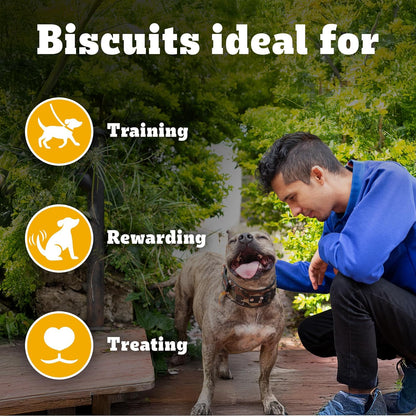 Pedigree Biscrok (Above 4 Months) Dog Biscuits, Chicken Flavour, 900 g, No. 1 Dog Trainer’s Preferred Brand In India