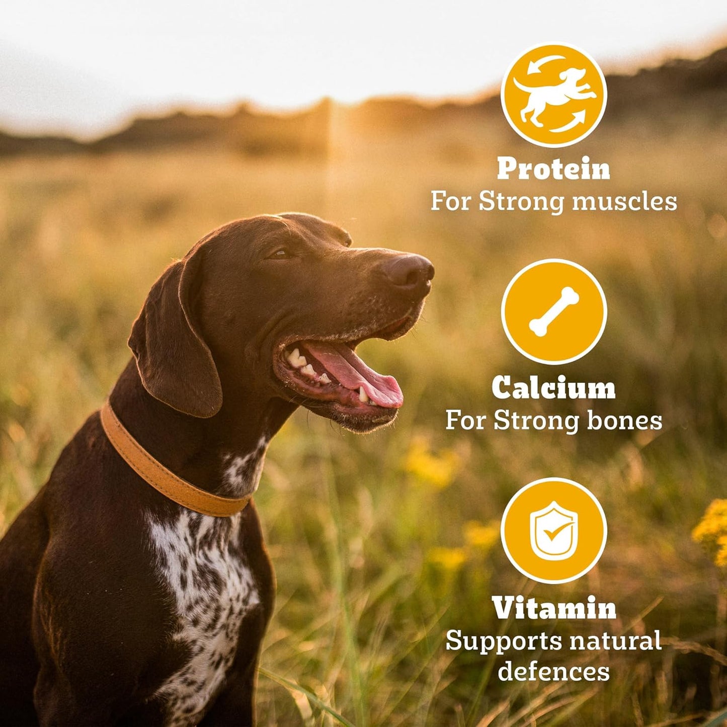 Pedigree Biscrok (Above 4 Months) Dog Biscuits, Chicken Flavour, 900 g, No. 1 Dog Trainer’s Preferred Brand In India