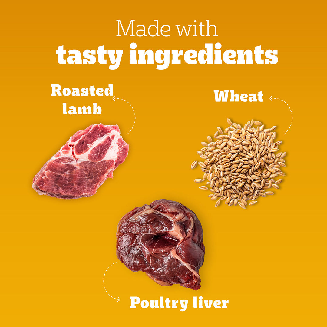 Pedigree Tasty Jerky Dog Treat, Roasted Lamb Flavour, 70 g, Jerky-style Treats for Bonding, Low-fat and High-protein* Dog Treats