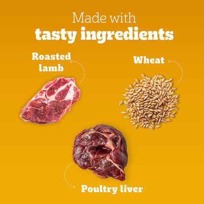 Pedigree Tasty Jerky Dog Treat, Roasted Lamb Flavour, 70 g, Jerky-style Treats for Bonding, Low-fat and High-protein* Dog Treats