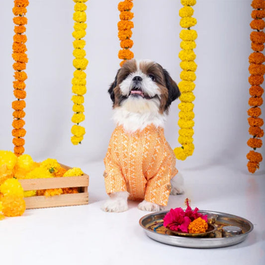 Petsnugs Orange Kurta for Dogs