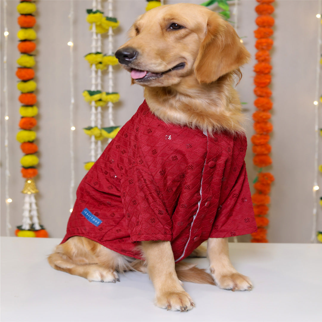 Petsnugs Red Sherwani for Dogs