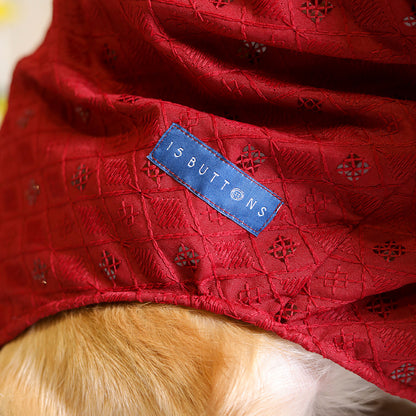 Petsnugs Red Sherwani for Dogs