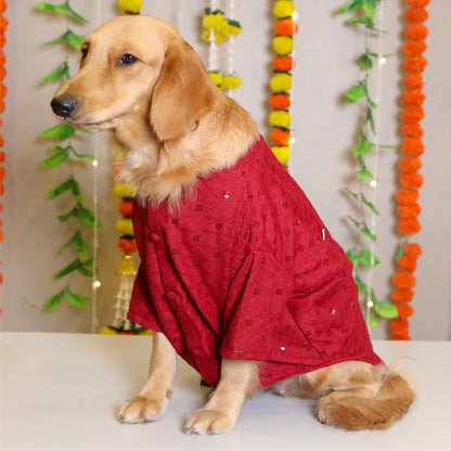 Petsnugs Red Sherwani for Dogs