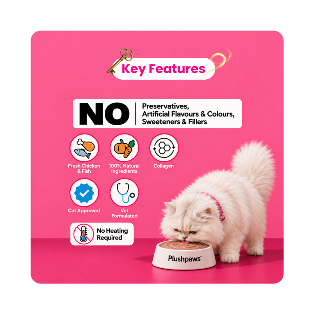 Plushpaws Fish Biryani | 75g