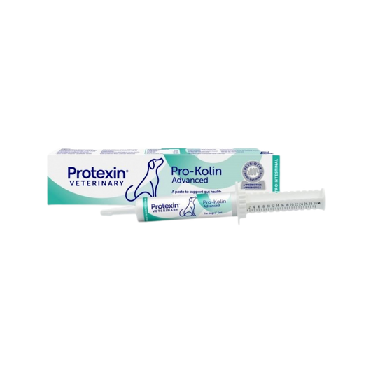 Pro-kolin Advance Pet Syringe (L) - Animeal