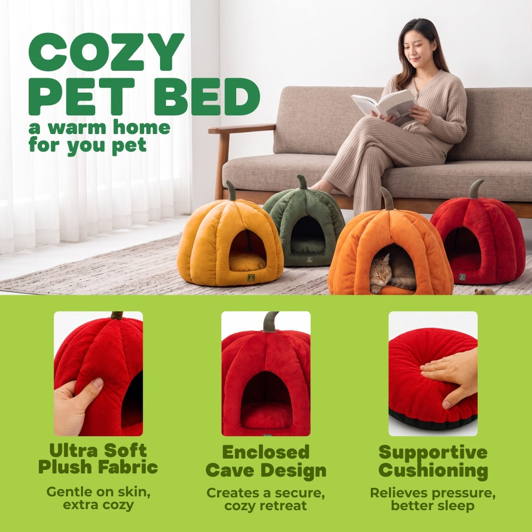 Pumpkin Bed