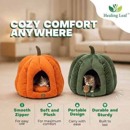 Pumpkin Bed