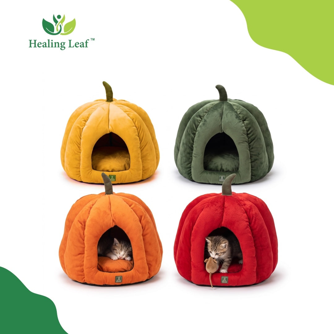 Pumpkin Bed