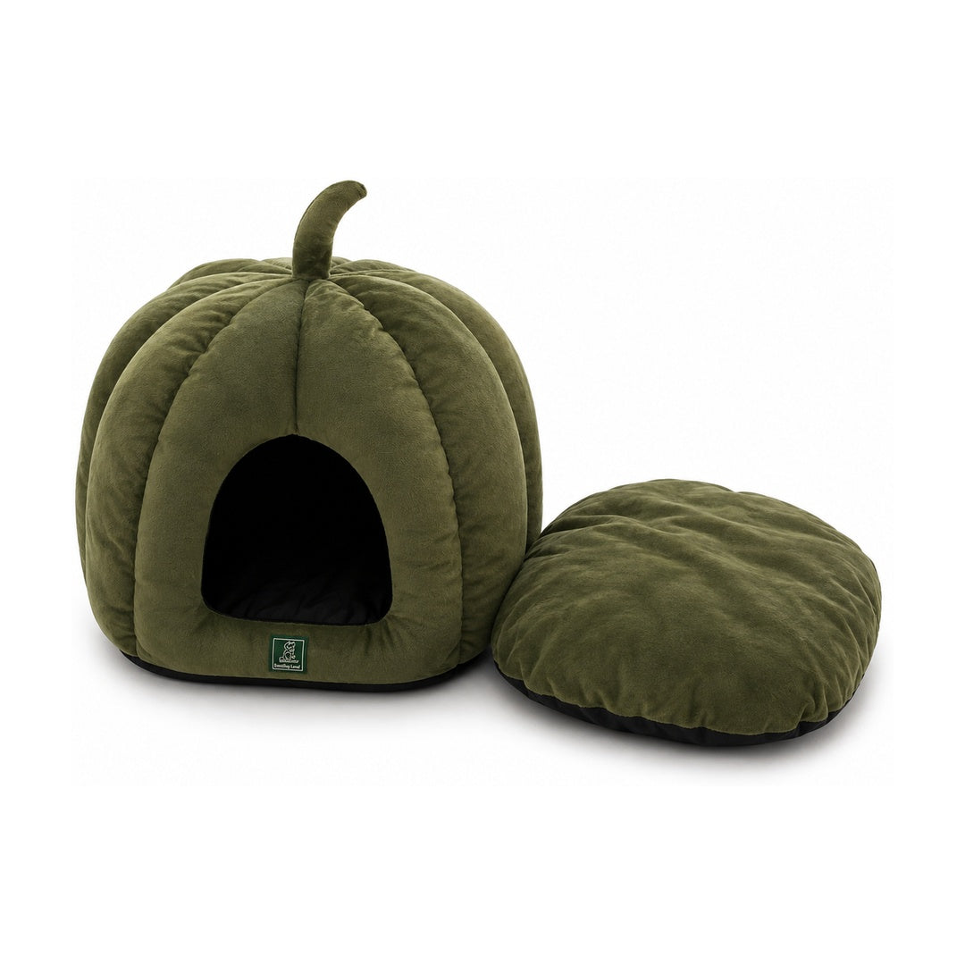 Pumpkin Bed