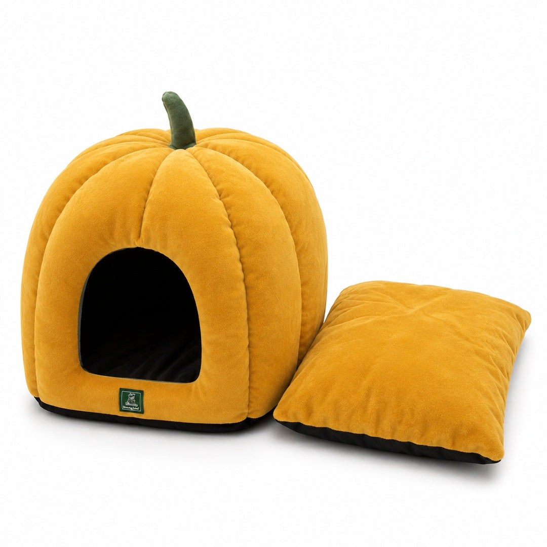 Pumpkin Bed
