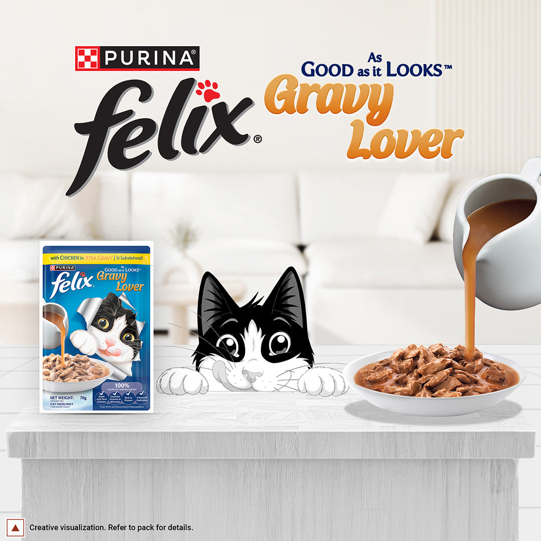 Purina Felix Gravy Lover, Tasty & Real Meaty Chicken Chunks, Wet Cat Food, Balanced Nutrition, 24 Months, Pack of 12 Pouches (12x70g) 