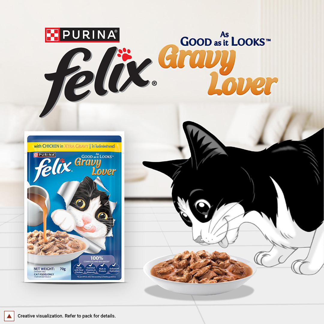 Purina Felix Gravy Lover, Tasty & Real Meaty Chicken Chunks, Wet Cat Food, Balanced Nutrition, 24 Months, Pack of 12 Pouches (12x70g) 