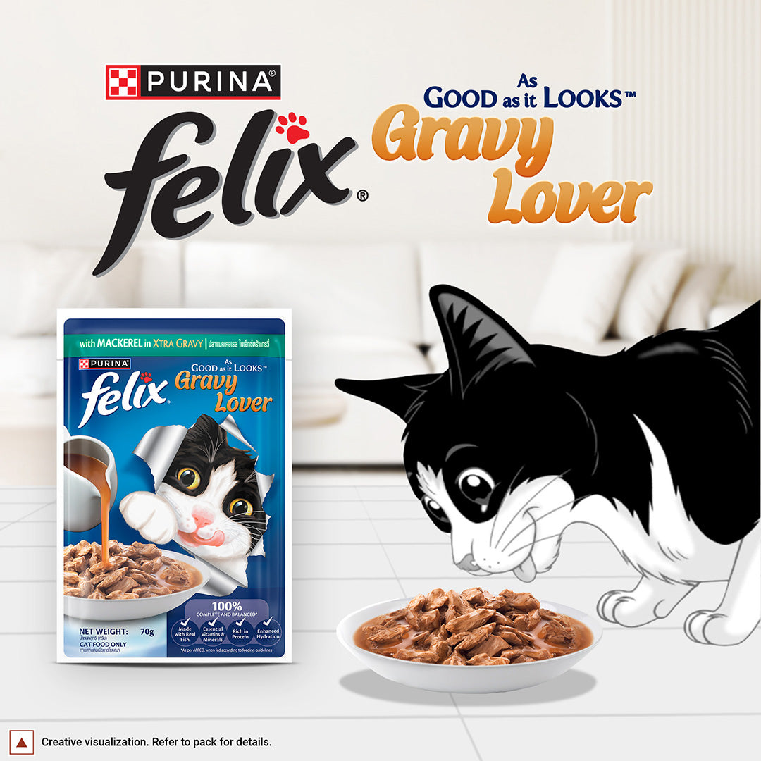 Purina Felix Gravy Lover, Tasty & Real Meaty Mackerel Chunks, Wet Cat Food, Balanced Nutrition, 24 Months, Pack of 12 Pouches (12x70g) 
