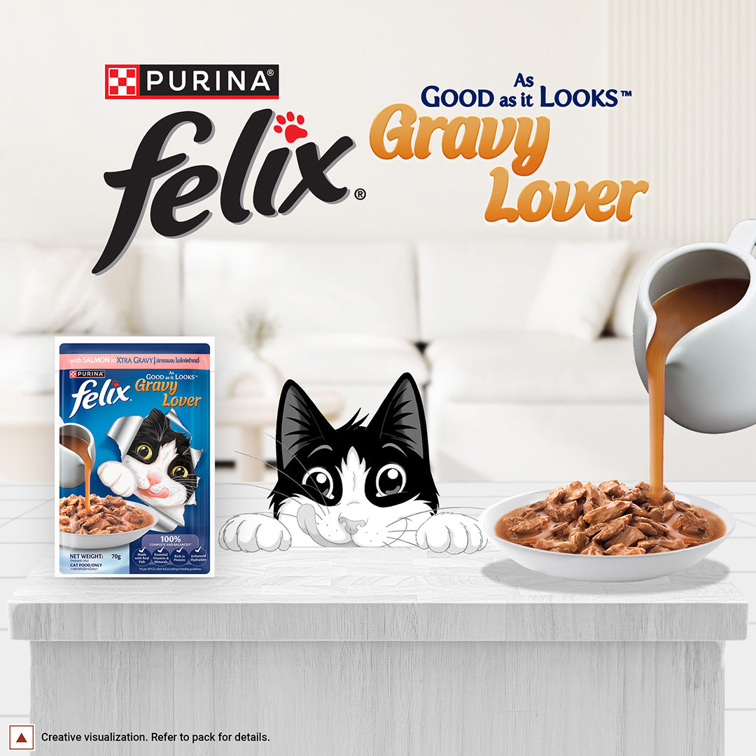 Purina Felix Gravy Lover, Tasty & Real Meaty Salmon Chunks, Wet Cat Food, Balanced Nutrition, 24 Months, Pack of 12 Pouches (12x70g) 
