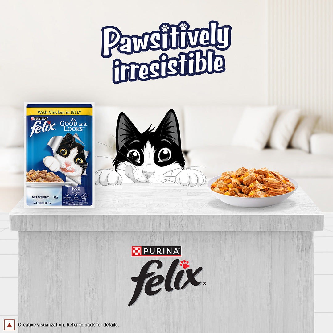 Purina Felix with Chicken in Jelly | Wet Food for Adults | Complete and Balanced Cat Food, Pack of 12 Pouches (12 x 85 g)