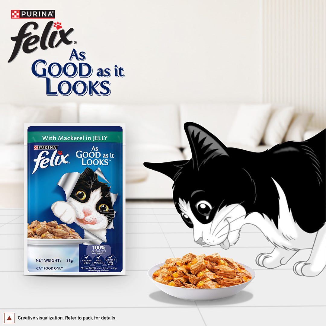 Purina Felix with Mackerel in Jelly | Wet Food for Adults | Complete and Balanced Cat Food, Pack of 12 Pouches (12 x 85 g)