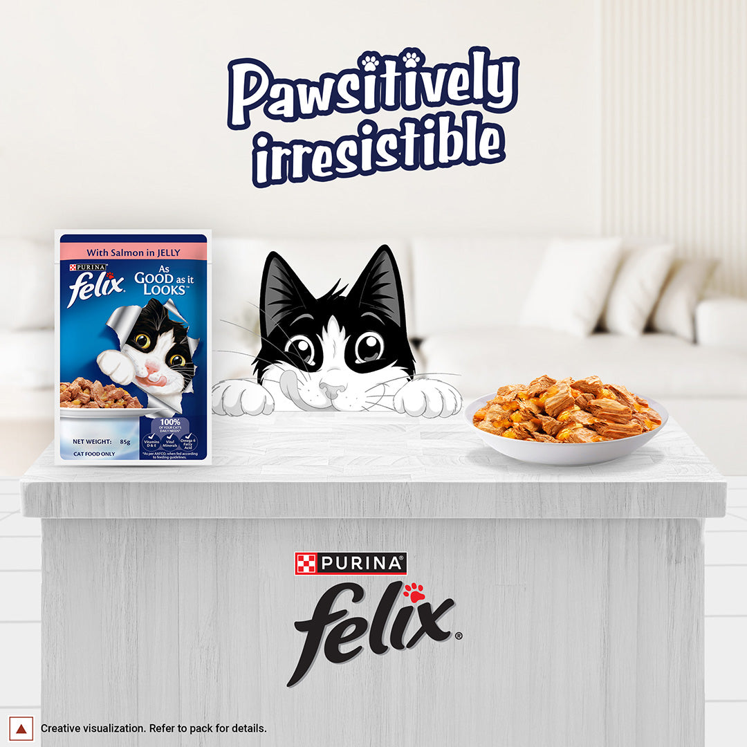 Purina Felix with Salmon in Jelly | Wet Food for Adults | Complete and Balanced Cat Food, Pack of 12 Pouches (12 x 85 g)
