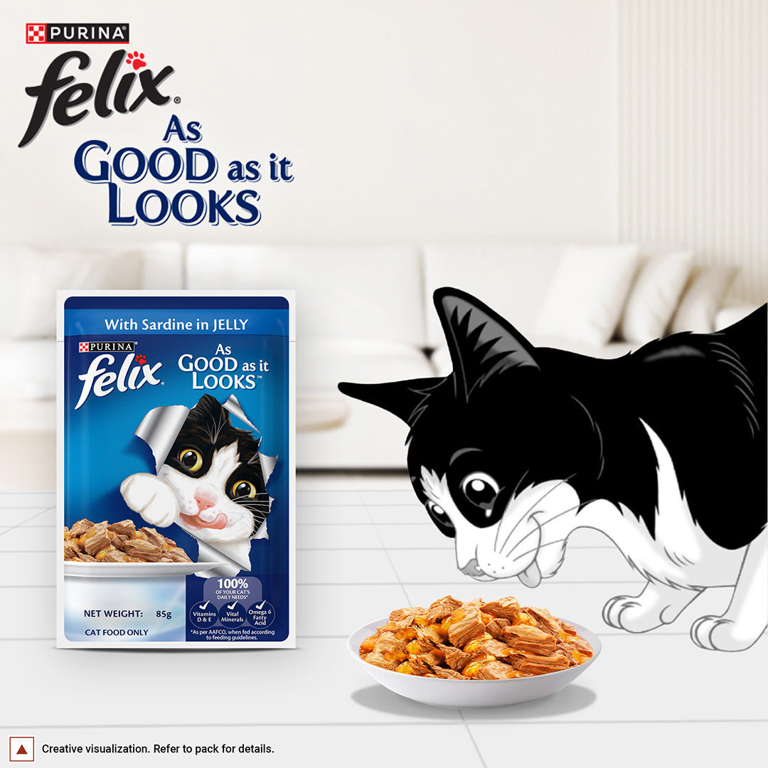 Purina Felix with Sardine in Jelly | Wet Food for Adults | Complete and Balanced Cat Food, Pack of 12 Pouches (12 x 85 g)