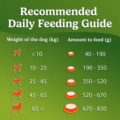 Purina Friskies Chicken Adult Dog Food, Dry Dog Food, Balanced Nutrition, 1 kg