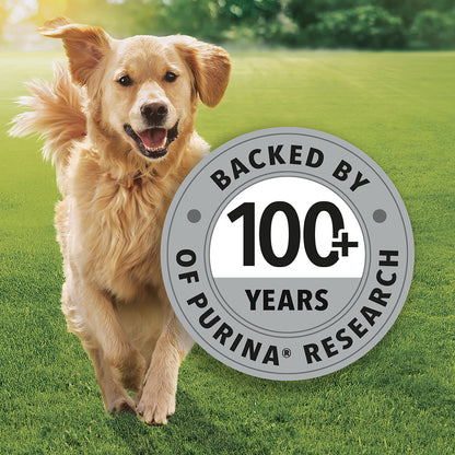 Purina Friskies Chicken Adult Dog Food, Dry Dog Food, Balanced Nutrition, 2.5 kg