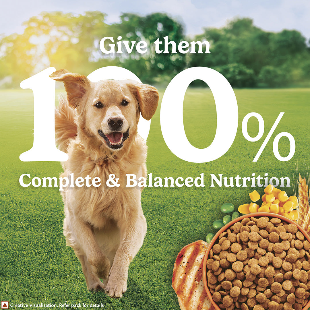 Purina Friskies Chicken Adult Dog Food, Dry Dog Food, Balanced Nutrition, 2.5 kg