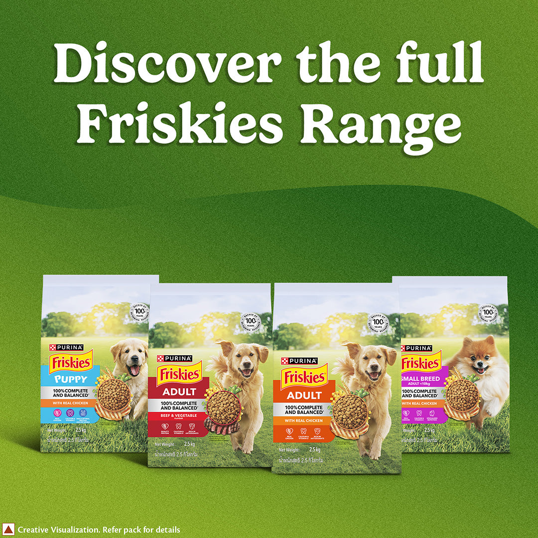 Purina Friskies Chicken Puppy Food, Dry Puppy Food, Balanced Nutrition, 1 kg