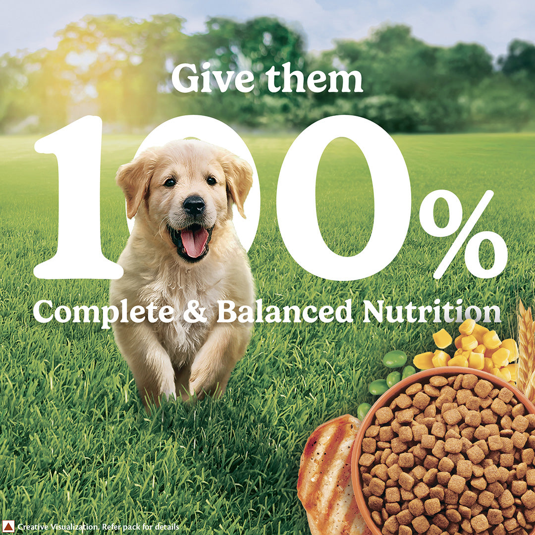 Purina Friskies Chicken Puppy Food, Dry Puppy Food, Balanced Nutrition, 1 kg