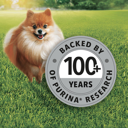 Purina Friskies Chicken Small Breed Adult Dog Food, Dry Dog Food, Balanced Nutrition, 2.5 kg
