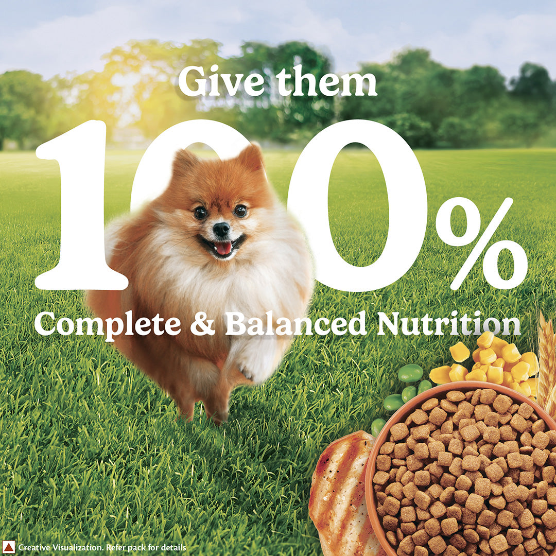 Purina Friskies Chicken Small Breed Adult Dog Food, Dry Dog Food, Balanced Nutrition, 2.5 kg