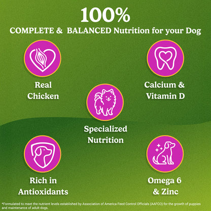 Purina Friskies Chicken Small Breed Adult Dog Food, Dry Dog Food, Balanced Nutrition, 2.5 kg