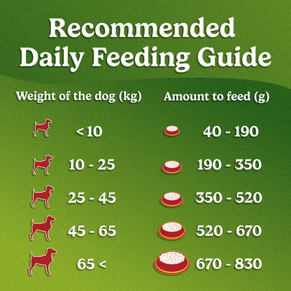 Purina Friskies Meat Adult Dog Food, Dry Dog Food, Balanced Nutrition, 2.5 kg