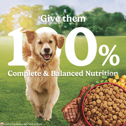 Purina Friskies Meat Adult Dog Food, Dry Dog Food, Balanced Nutrition, 2.5 kg