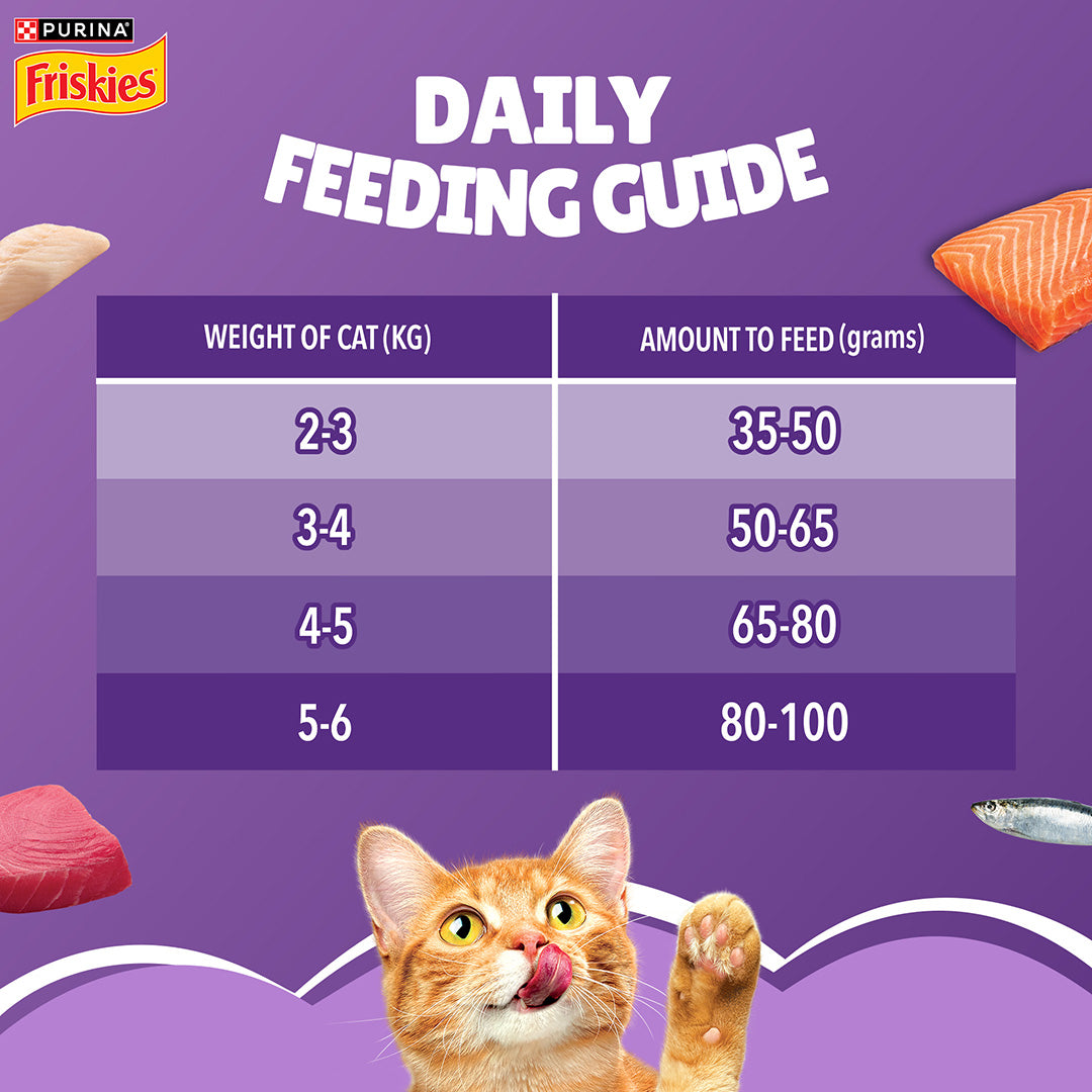 Purina Friskies Surfin' Favourites Adult Dry Cat Food, 6kg, Contains Mackerel, Tuna, Salmon & Sardine Flavours