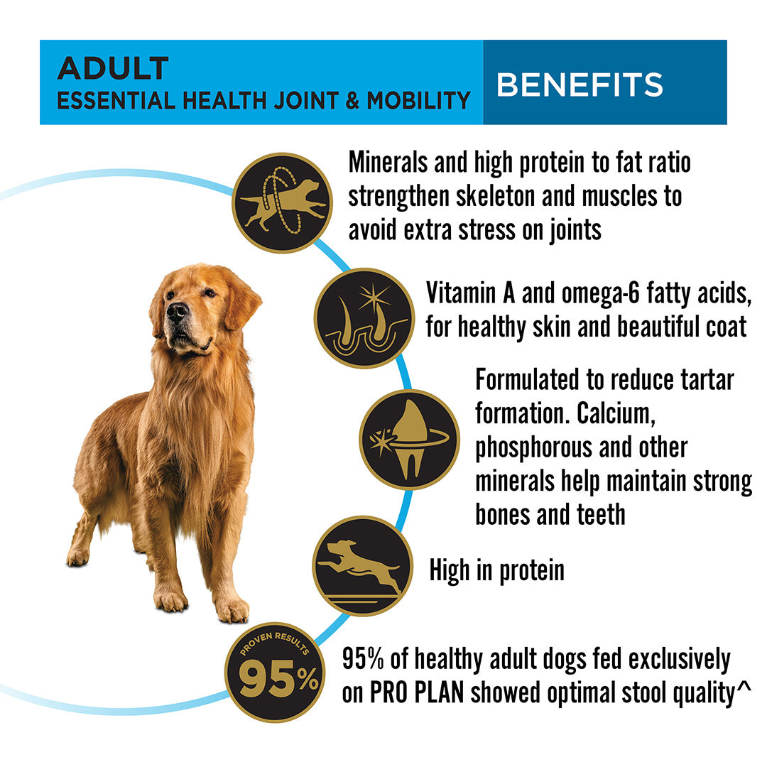 Purina Pro Plan Adult Dog Kibble Food for Large Breed Dogs, 3Kg Pack