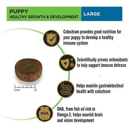 Purina Pro Plan Puppy Kibble Food for Large Sized Dogs, 3Kg Pack