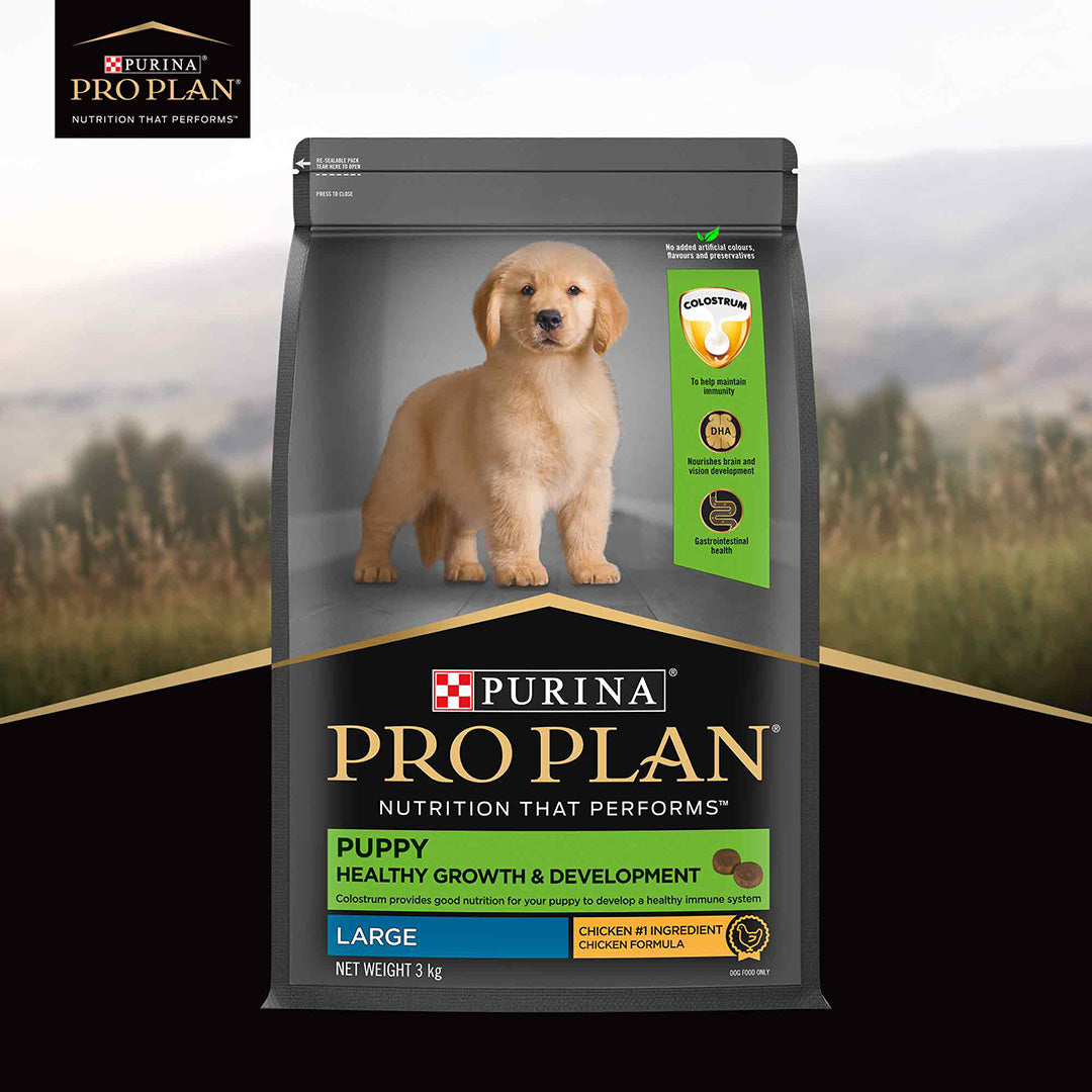 Purina Pro Plan Puppy Kibble Food for Large Sized Dogs, 3Kg Pack