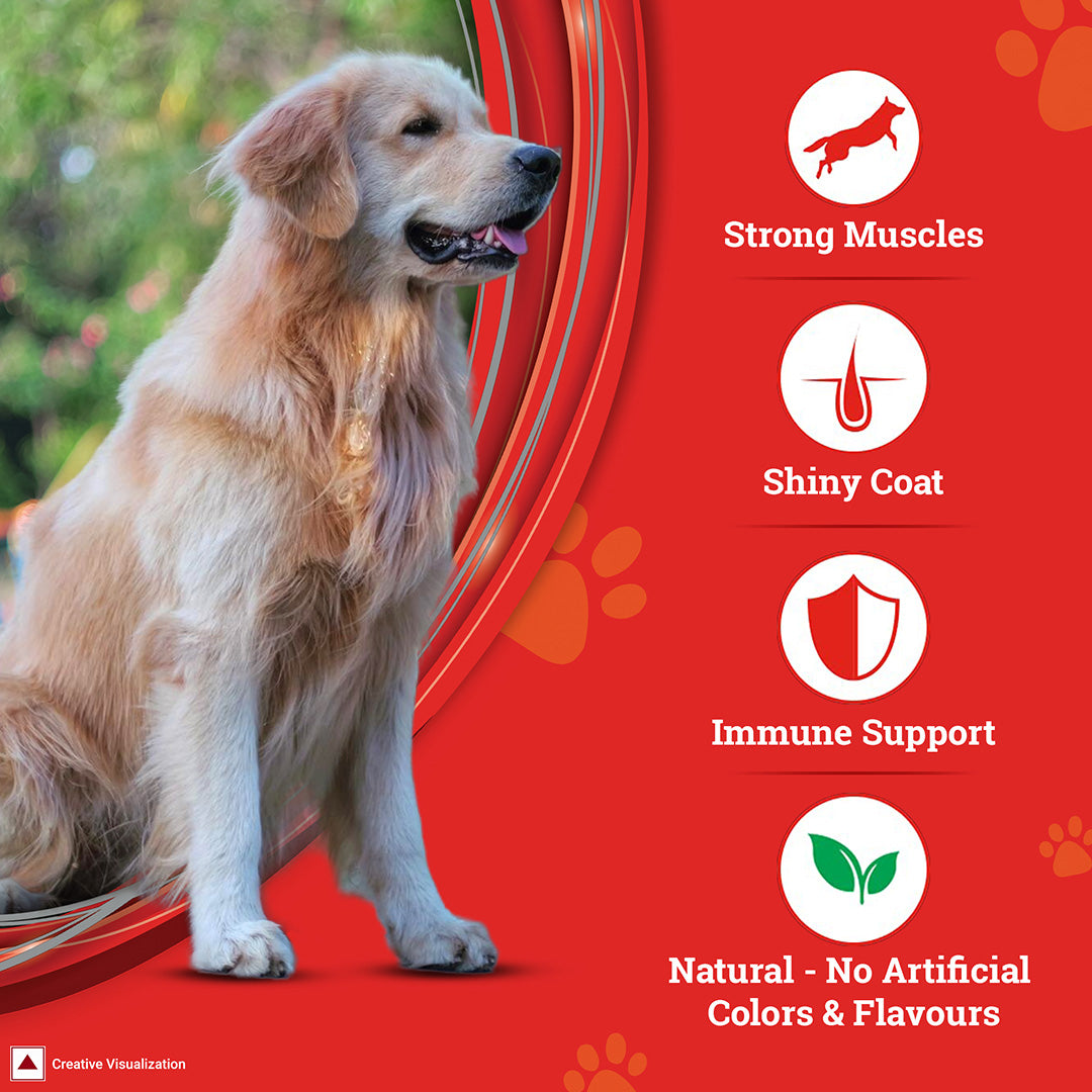 Purina SUPERCOAT Adult Dry Dog Food, 1+ Years, With Chicken, Smartblend Precise Nutrition for Whole Body Health, No Artificial Colours & Flavours, 10Kg Bag